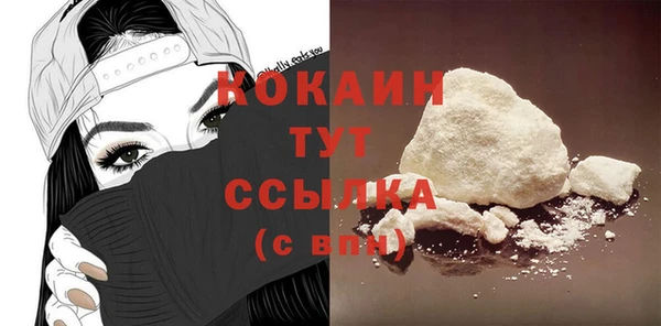 стаф Богданович
