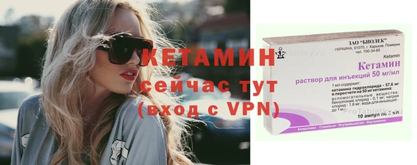 стаф Богданович