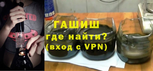 стаф Богданович