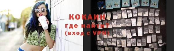 стаф Богородск