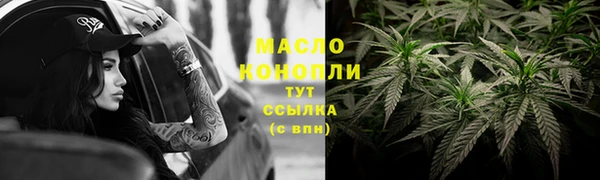 гашик Богородицк