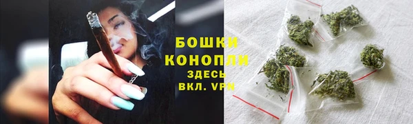 стаф Богданович