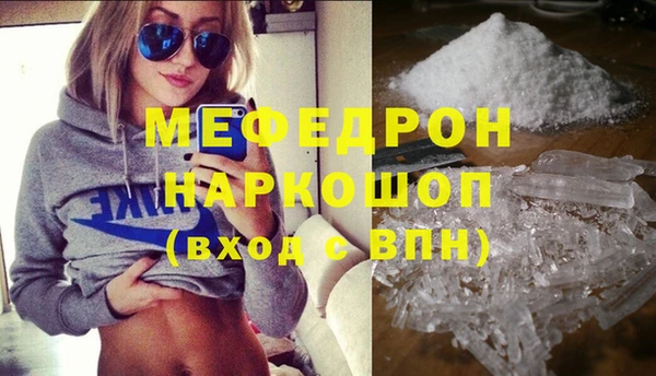 стаф Богданович