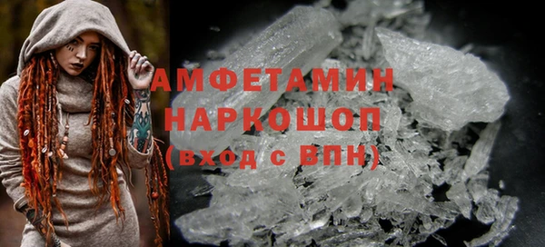 стаф Богданович