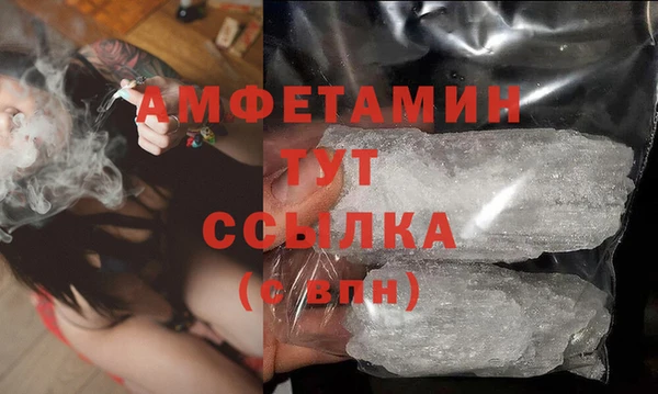стаф Богданович