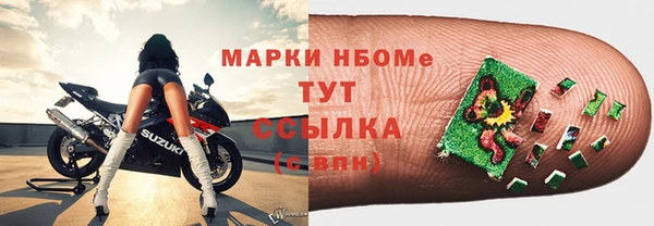 стаф Богородск