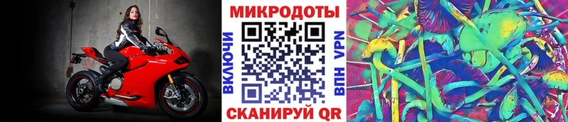 omg сайт  Череповец  Псилоцибиновые грибы ЛСД 