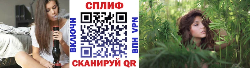 Конопля Bruce Banner  Череповец 